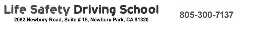 Driving School Logo